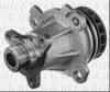 BORG & BECK BWP2345 Water Pump